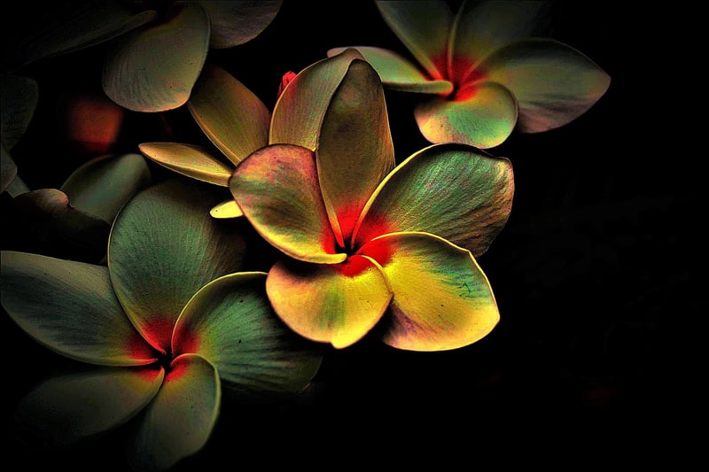 Breath Awareness Image